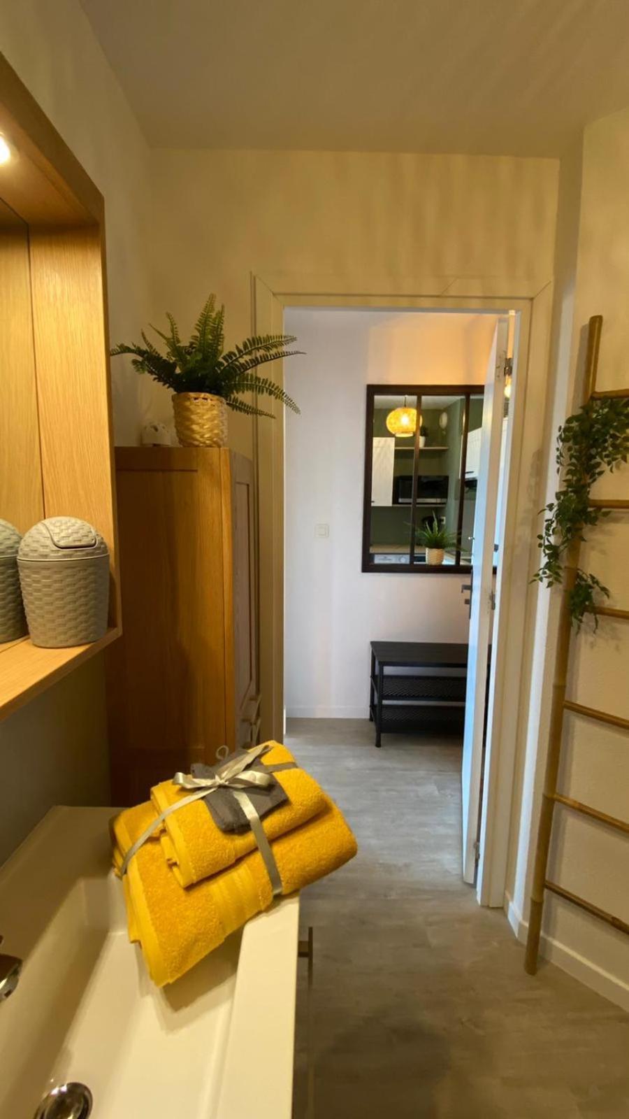 Le Sporting Land - Avec Entree Autonome, Parking Prive & Sa Piscine ! - Apartment Gaillac Ngoại thất bức ảnh